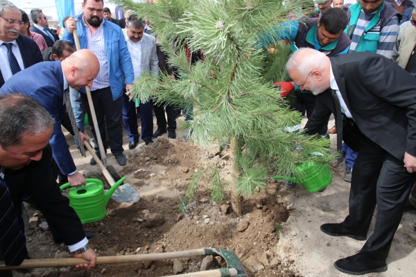 BAŞKAN ÇOLAKBAYRAKDAR, “BOZTEPE’Yİ YEŞERTİYORUZ”