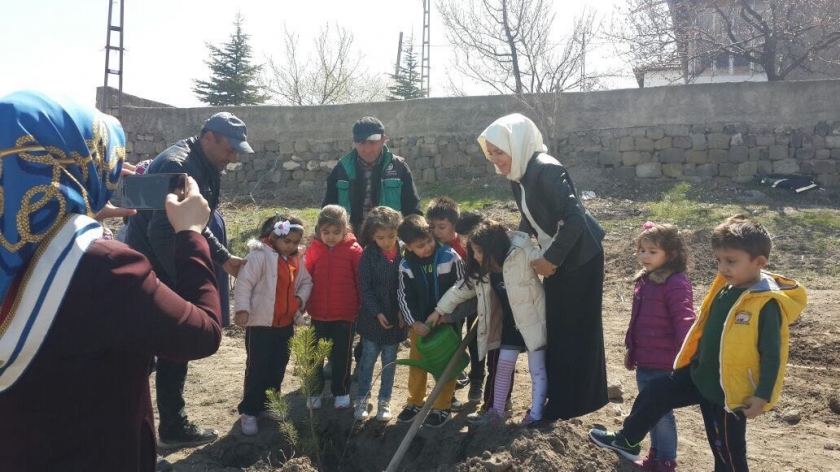 KOCASİNAN’DA AĞAÇLANDIRMA ÇALIŞMALARI TÜM HIZIYLA DEVAM EDİYOR