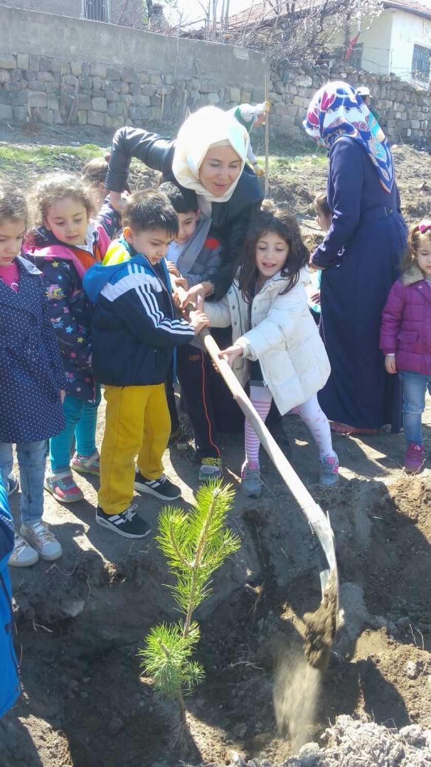 KOCASİNAN’DA AĞAÇLANDIRMA ÇALIŞMALARI TÜM HIZIYLA DEVAM EDİYOR