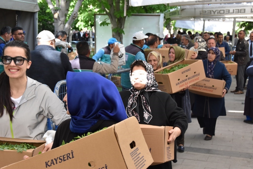 KOCASİNAN’IN DOMATES EFSANESİ BU YIL DA HAYAT BULDU