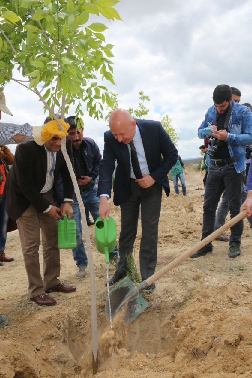 ÇOLAKBAYRAKDAR’DAN BRİFİNG ALAN GAZETECİLERİN DİKİLİ AĞAÇLARI OLDU
