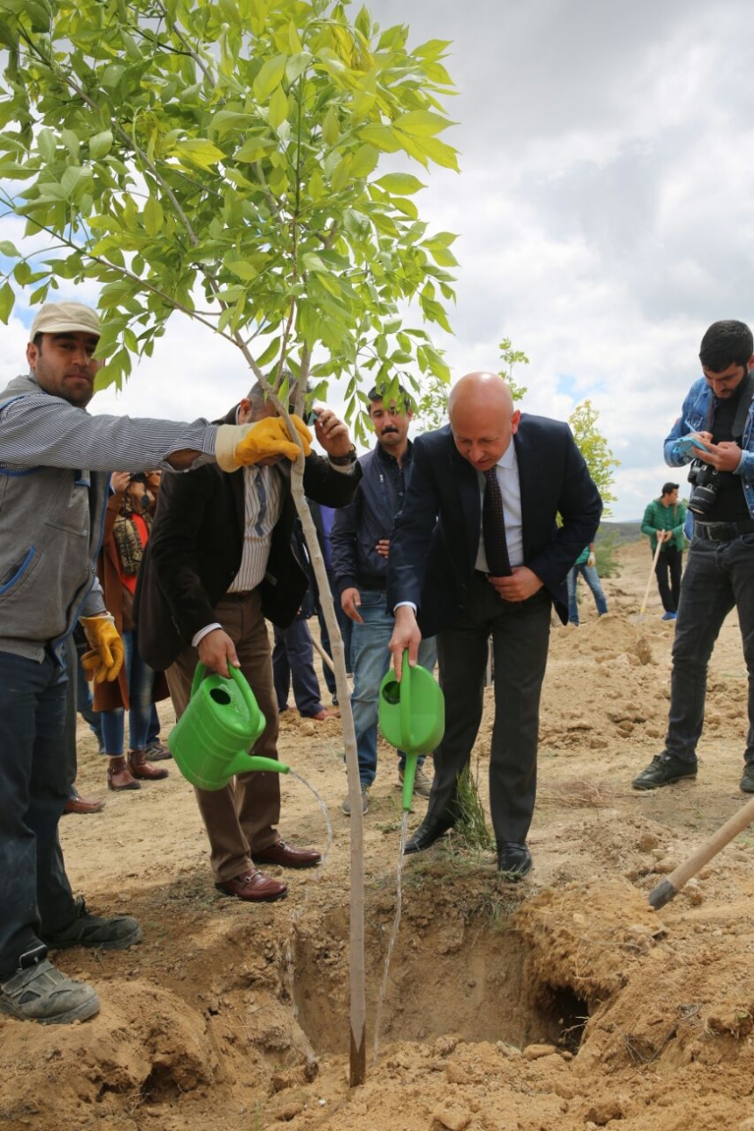 ÇOLAKBAYRAKDAR’DAN BRİFİNG ALAN GAZETECİLERİN DİKİLİ AĞAÇLARI OLDU
