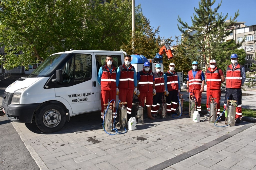 KOCASİNANDA, HUZURLU BİR YAZ İÇİN HAŞERE İLE MÜCADELE DEVAM EDİYOR