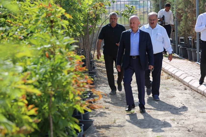 ÇEVRE DOSTU KOCASİNAN, HER MEVSİM RENGARENK