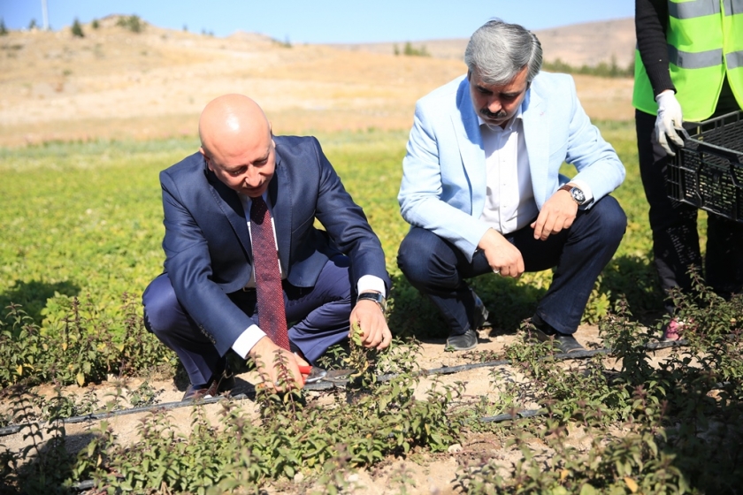 ÇOLAKBAYRAKDAR, “KAYSERİ TARIM ŞEHRİ OLARAK ANILACAKSA BUNUN YOLU KOCASİNAN’DAN GEÇER”