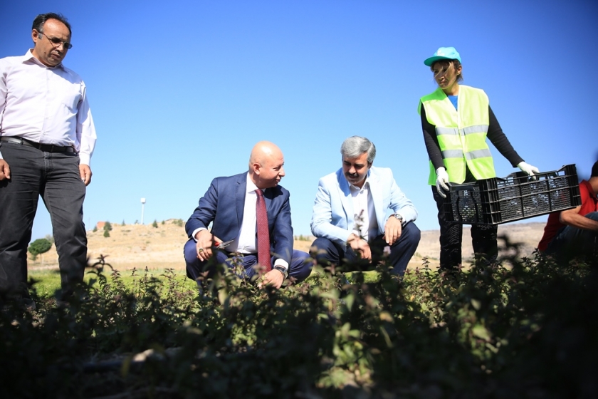 ÇOLAKBAYRAKDAR, “KAYSERİ TARIM ŞEHRİ OLARAK ANILACAKSA BUNUN YOLU KOCASİNAN’DAN GEÇER”