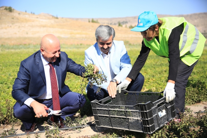 ÇOLAKBAYRAKDAR, “KAYSERİ TARIM ŞEHRİ OLARAK ANILACAKSA BUNUN YOLU KOCASİNAN’DAN GEÇER”