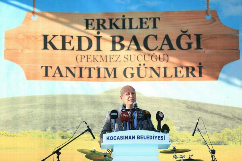 KOCASİNAN’DA ERKİLET KEDİ BACAĞI TANITIM GÜNLERİNE BÜYÜK İLGİ