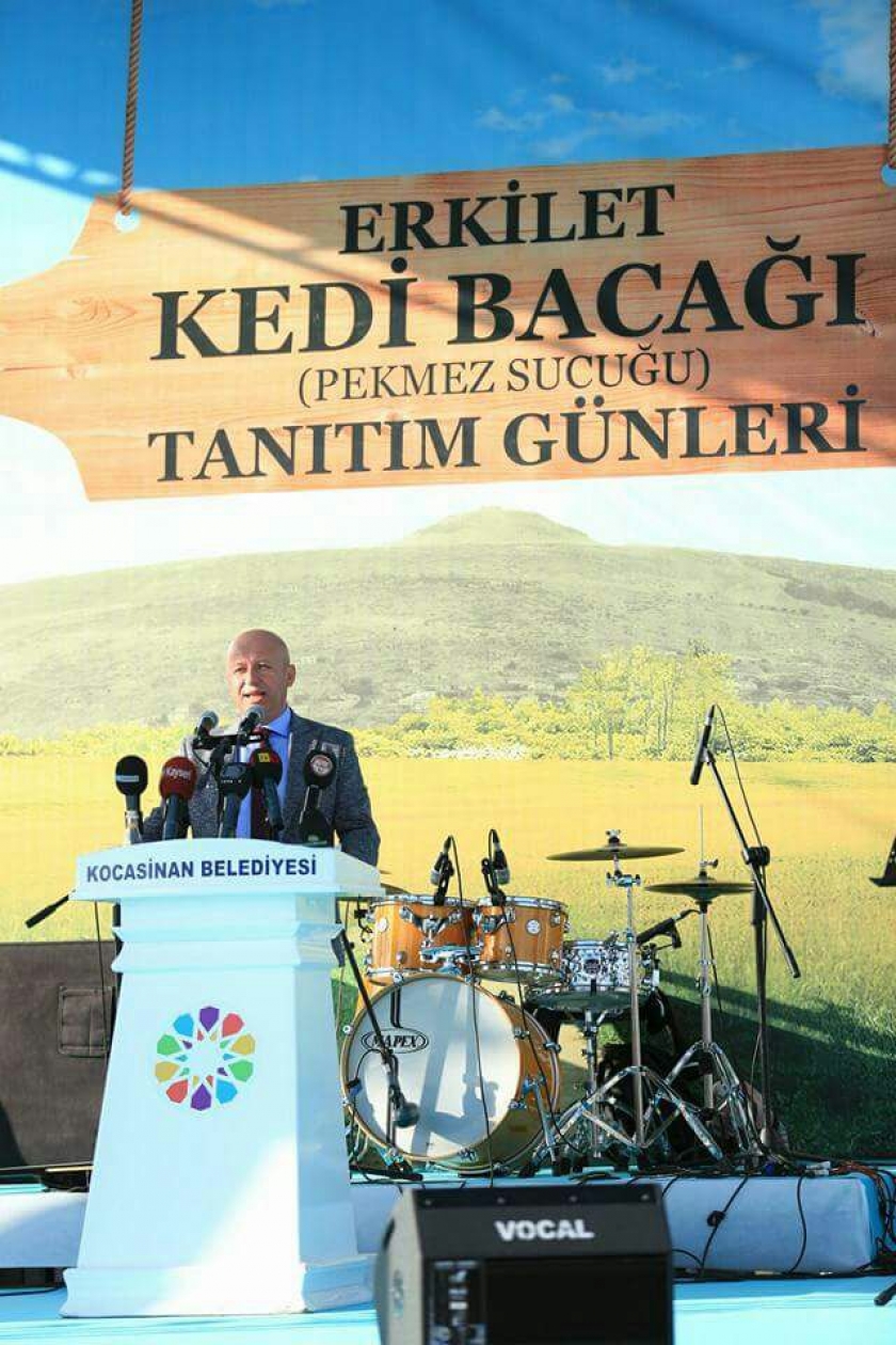 KOCASİNAN’DA ERKİLET KEDİ BACAĞI TANITIM GÜNLERİNE BÜYÜK İLGİ