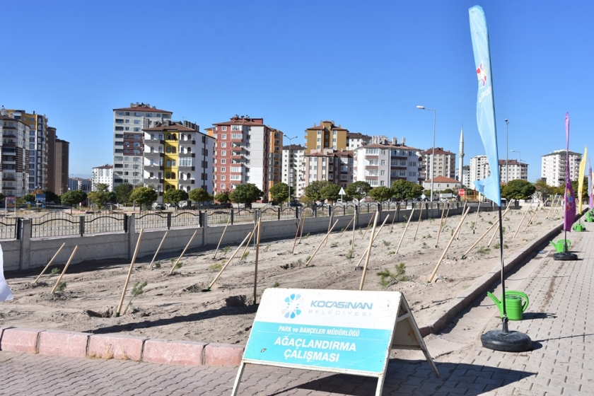 KOCASİNAN BELEDİYESİ, AĞAÇLARI TOPRAKLA BULUŞTURMAYA DEVAM EDİYOR