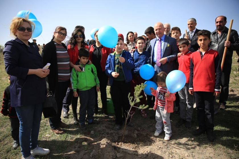 KOCASİNANDA FİDANLAR BU HAFTA +1 DEĞERLİ