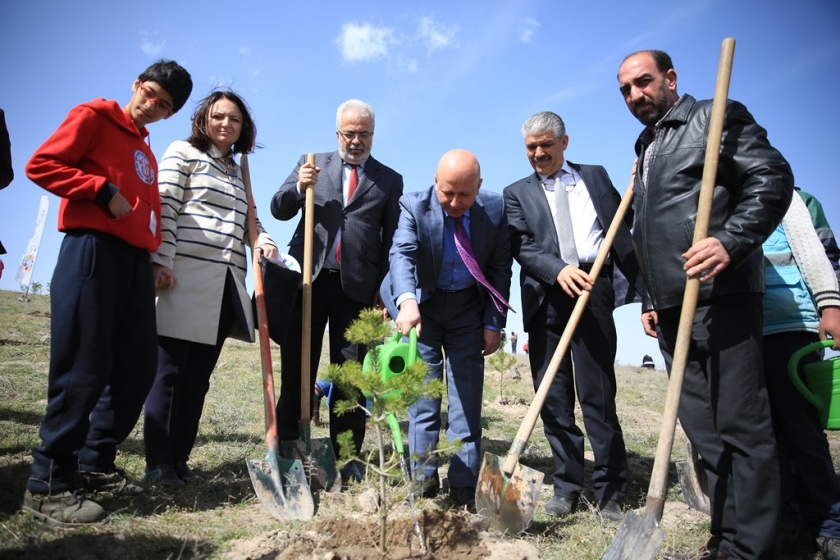 KOCASİNANDA FİDANLAR BU HAFTA +1 DEĞERLİ