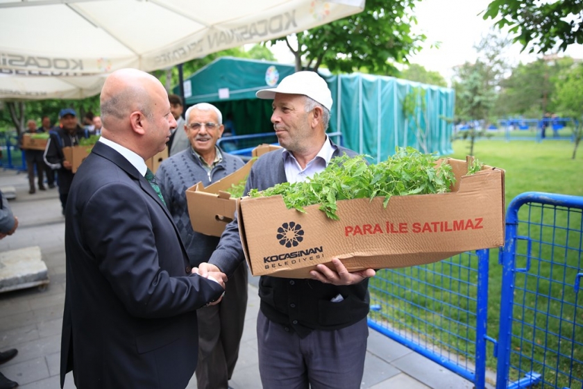 KOCASİNAN’IN ORGANİK DOMATES FİDESİNE İLGİ, HER GEÇEN YIL ARTIYOR