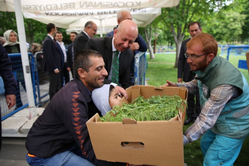 KOCASİNAN’IN ORGANİK DOMATES FİDESİNE İLGİ, HER GEÇEN YIL ARTIYOR