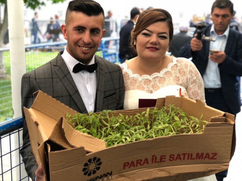 KOCASİNAN’IN ORGANİK DOMATES FİDESİNE İLGİ, HER GEÇEN YIL ARTIYOR