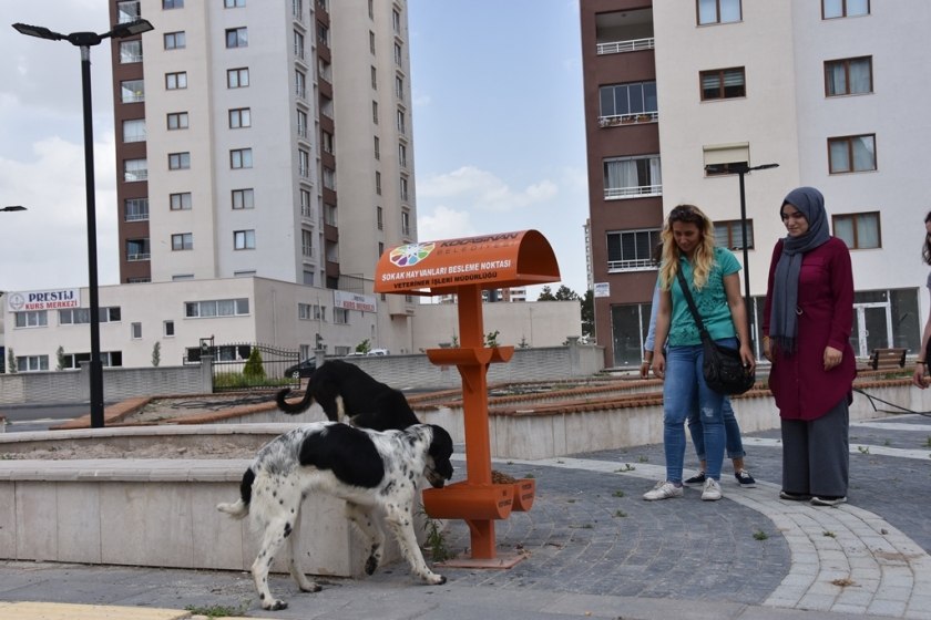 KOCASİNAN BELEDİYESİ’NİN ÇALIŞMALARINA ÜNİVERSİTE ÖĞRENCİLERİNDEN DESTEK