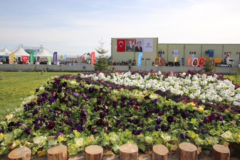 KOCASİNAN BELEDİYESİ, 6 AYDA 78 BİN AĞAÇ KURTARDI