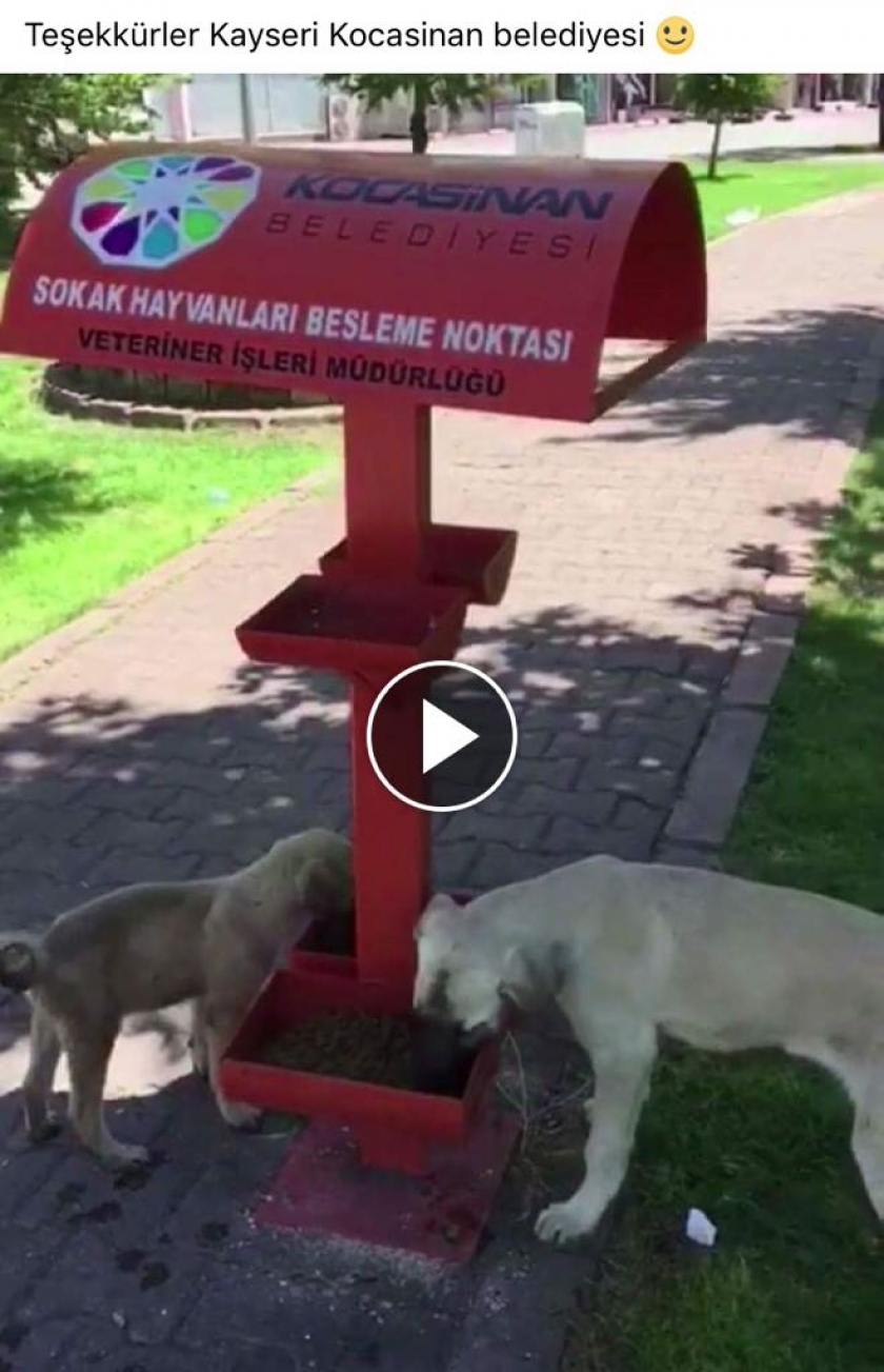 KOCASİNAN BELEDİYESİ, SOSYAL MEDYADA BÜYÜK BEĞENİ TOPLUYOR