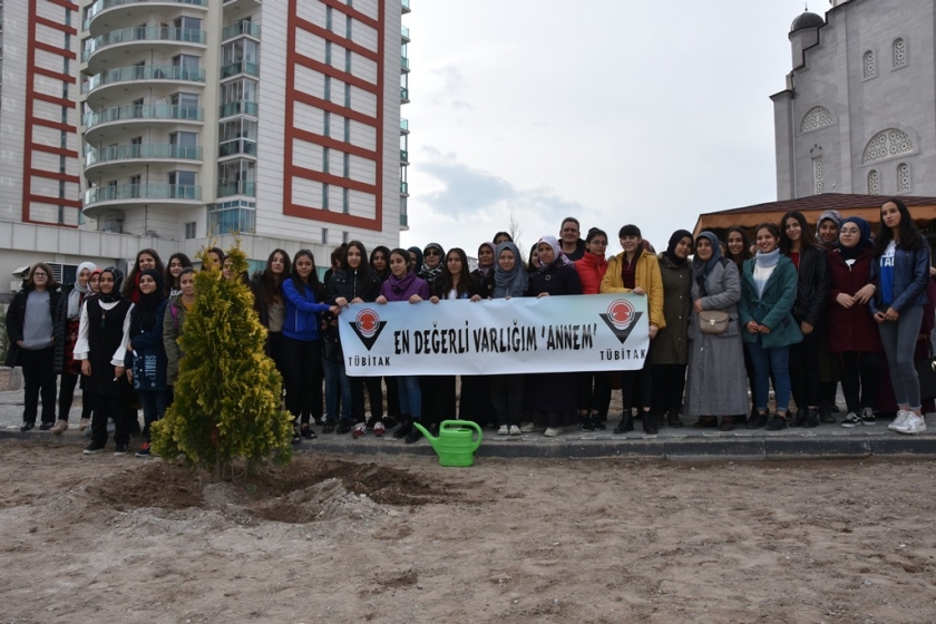 KOCASİNAN’DA ANNELER VE KIZLARI AĞAÇ DİKTİ