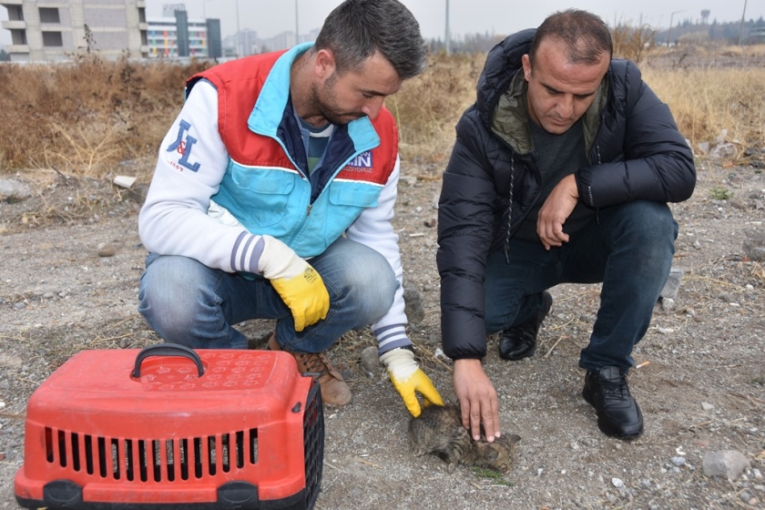 KÜÇÜK DOSTLARA MÜDAHALE AN BE AN KAMERALARA YANSIDI