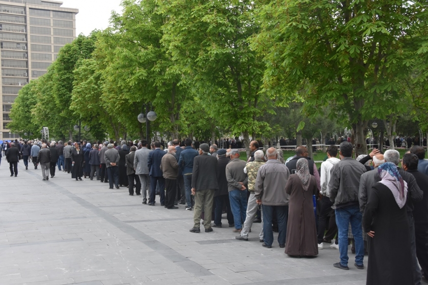 KOCASİNAN’IN ORGANİK DOMATES FİDESİNE VATANDAŞLARDAN BÜYÜK İLGİ
