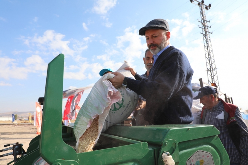 KOCASİNAN’DA ATA YADİGARI SİYEZ BUĞDAYLAR HASADA HAZIRLANIYOR