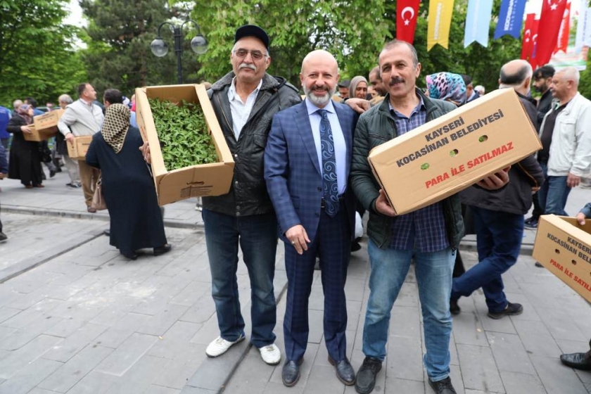 KOCASİNAN’DA DAĞITILAN DOMATES FİDELERİNİN ÜRÜNLERİ SALÇA OLDU