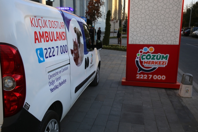 KÜÇÜK DOSTLAR KOCASİNANDA HER ZAMAN DEĞERLİ
