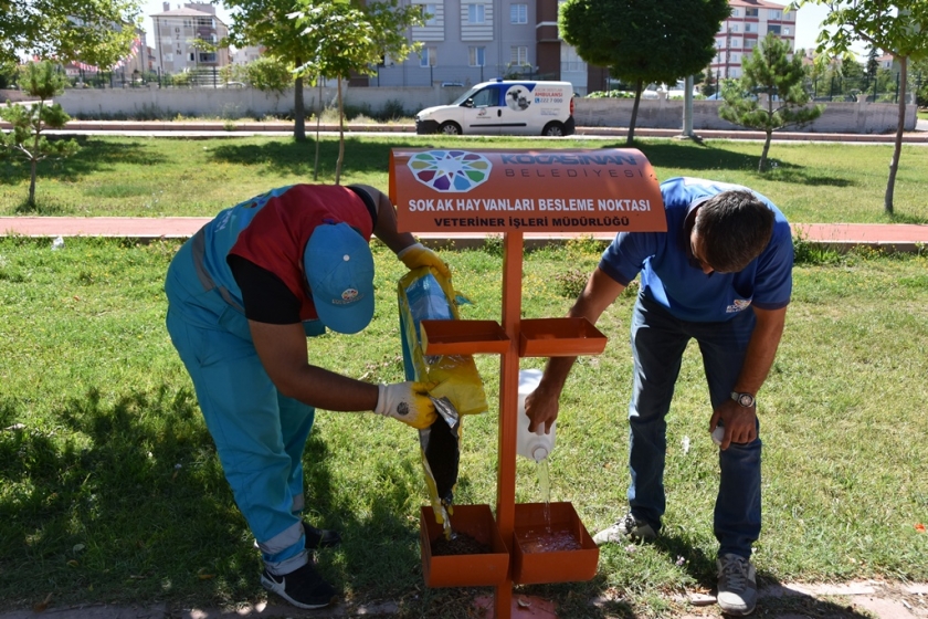KÜÇÜK DOSTLAR KOCASİNANDA HER ZAMAN DEĞERLİ