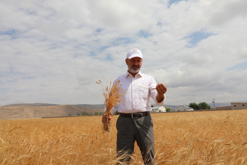 10 BİN YILLIK TOHUMLAR KOCASİNANDA FİLİZLENECEK