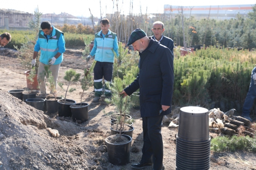 BAŞKAN ÇOLAKBAYRAKDAR, “DAHA YEŞİL BİR KOCASİNAN İNŞA EDİYORUZ”