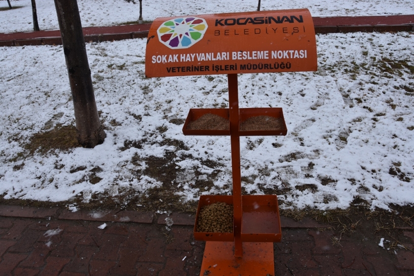 KOCASİNAN BELEDİYESİ, SOKAK VE YABAN HAYVANLARINI UNUTMADI