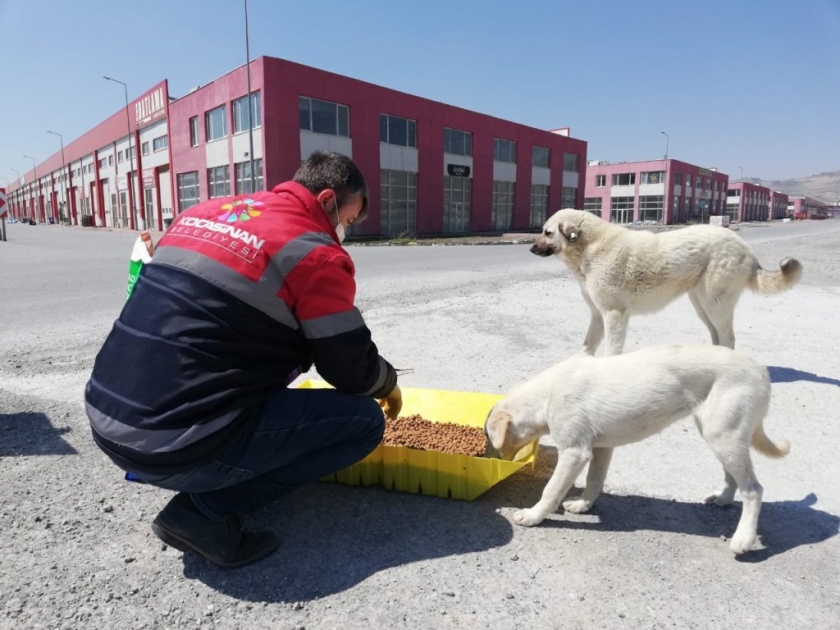KOCASİNAN BELEDİYESİ, HİZMETLERİYLE 7 GÜN 24 SAAT VATANDAŞLARIN YANINDA