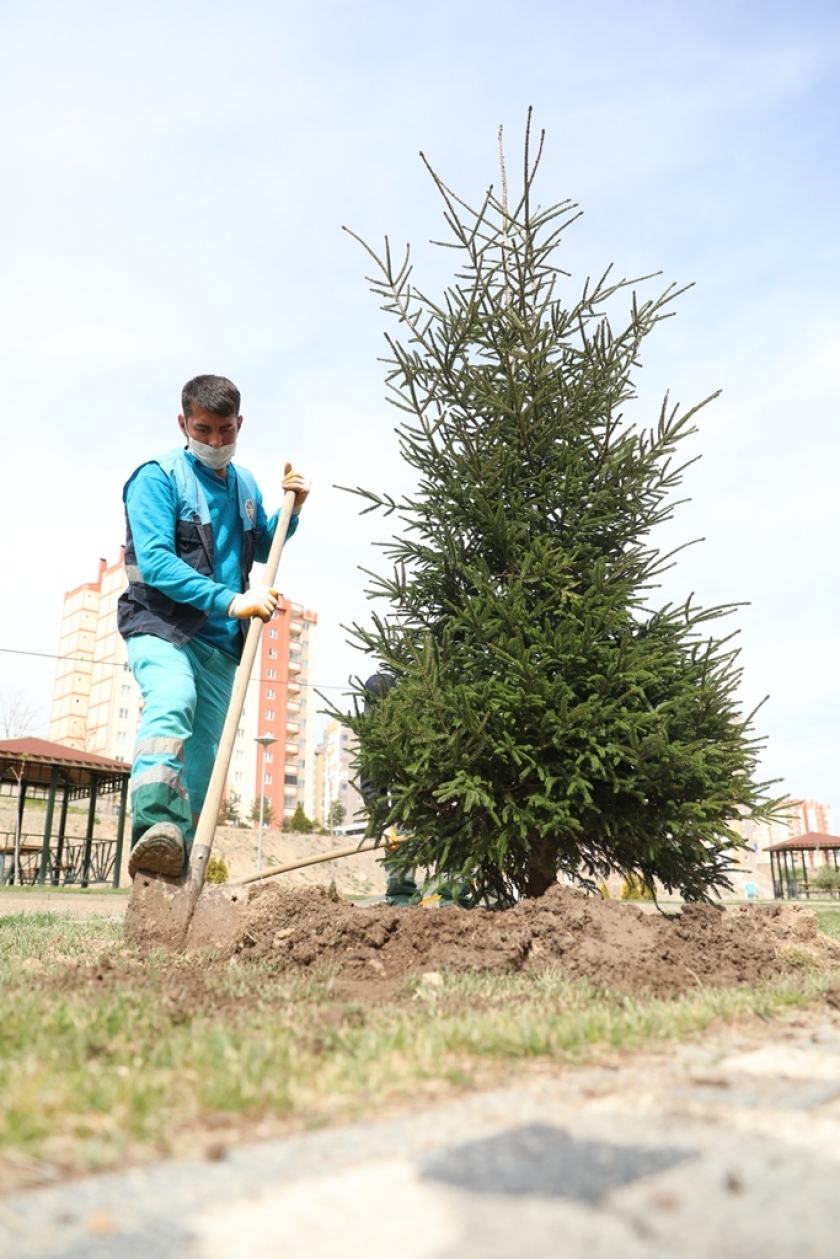 KOCASİNAN, YEŞİL HAMLE İLE GELECEĞE NEFES OLUYOR