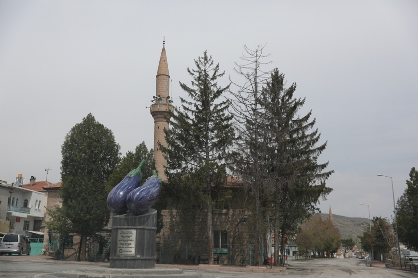 KOCASİNAN, TÜRKİYE’NİN TARIM MERKEZİ OLACAK