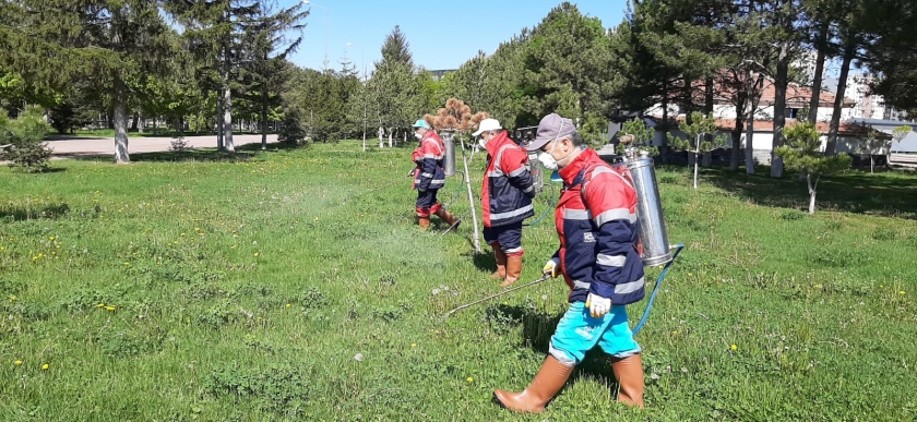 KOCASİNANDA, HUZURLU BİR YAZ İÇİN HAŞERE İLE MÜCADELE ARALIKSIZ SÜRÜYOR