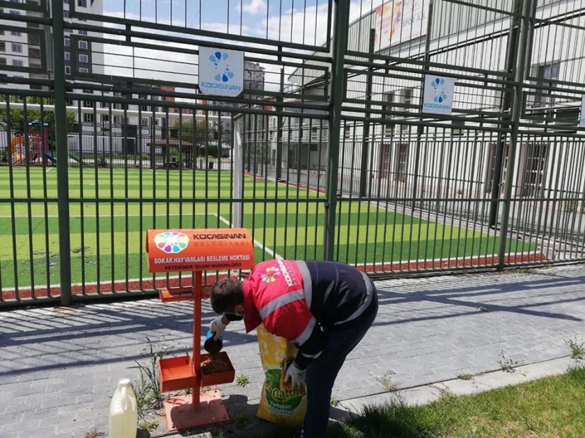 KOCASİNAN’DA SALGIN NEDENİYLE YEM BULMAKTA ZORLANAN DOĞADAKİ CANLILAR İÇİN SEFERBERLİK