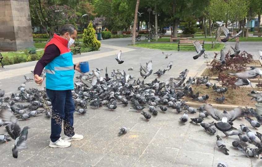 KOCASİNAN’DA SALGIN NEDENİYLE YEM BULMAKTA ZORLANAN DOĞADAKİ CANLILAR İÇİN SEFERBERLİK
