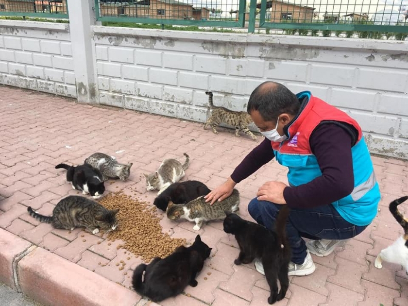 KOCASİNAN’DA SALGIN NEDENİYLE YEM BULMAKTA ZORLANAN DOĞADAKİ CANLILAR İÇİN SEFERBERLİK