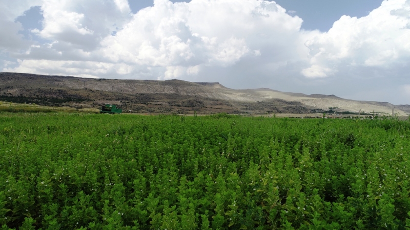 TARIMIN MERKEZİ KOCASİNAN’DAN KAYSERİ’YE YENİ BİR KAZANÇ KAPISI