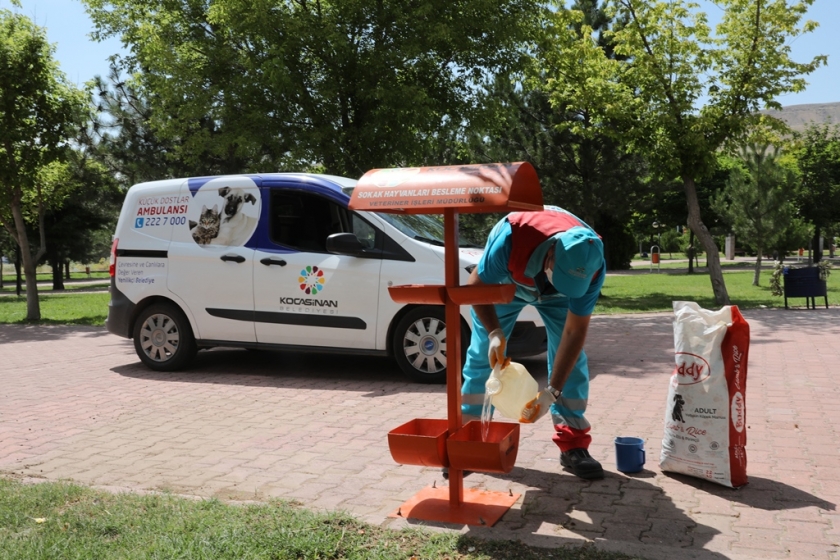 KOCASİNAN BELEDİYESİ’NDEN KÜÇÜK DOSTLAR İÇİN BÜYÜK HASSASİYET