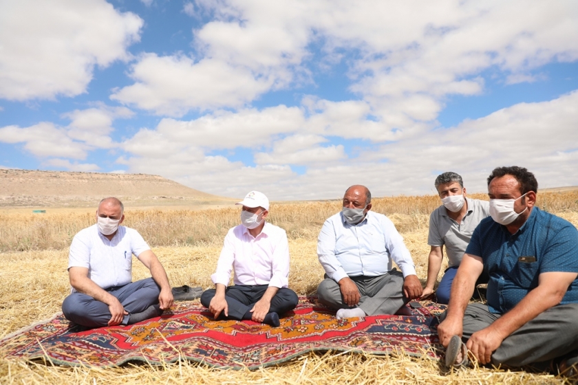 YAPILAN YATIRIMLARLA KOCASİNANLI ÇİFTÇİLERİN HASATTA YÜZÜ GÜLÜYOR