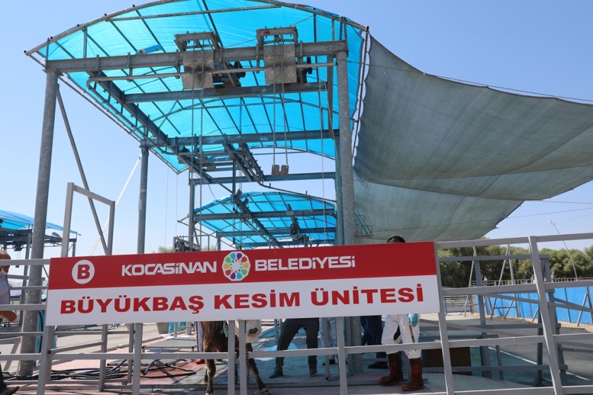 KOCASİNAN, KURBAN TATBİKATI YAPTI