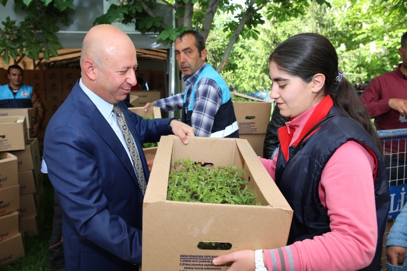 KOCASİNAN BELEDİYESİ’NİN DOMATES FİDESİNE VATANDAŞLARDAN BÜYÜK İLGİ