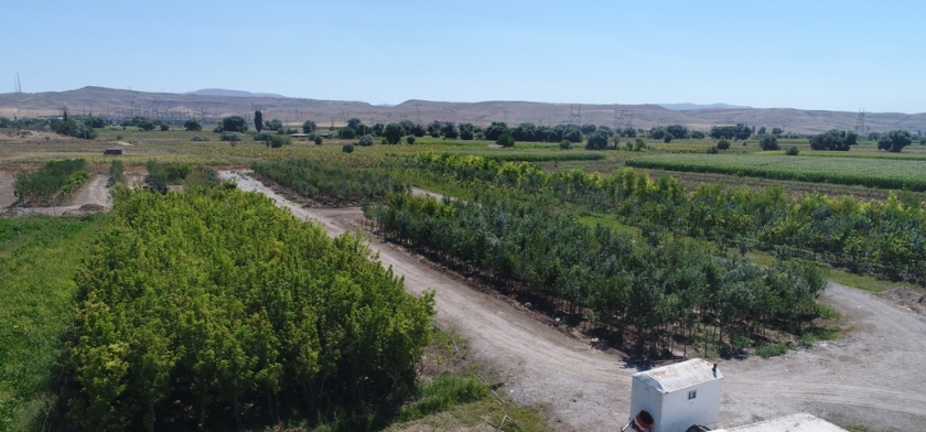 TÜRKİYE’NİN EN KAPSAMLI FİDANLIĞI KOCASİNAN’DA