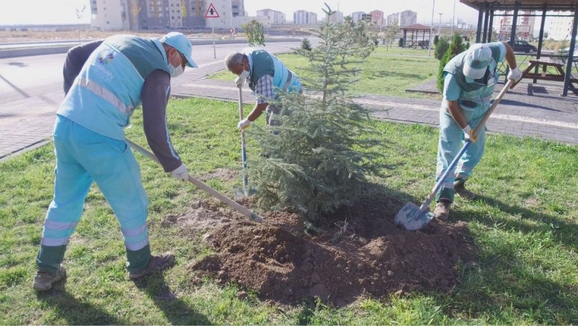 KOCASİNAN BELEDİYESİ, AĞAÇ DİKİMİYLE GELECEĞE NEFES OLUYOR