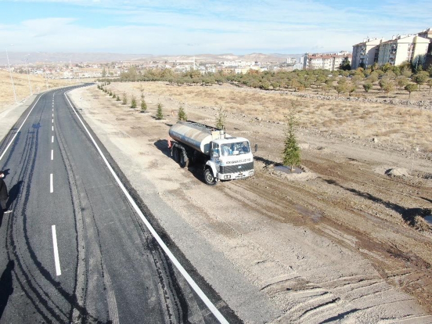 BAŞKAN ÇOLAKBAYRAKDAR, “110 FARKLI NOKTAYA 100 BİN AĞAÇ DİKTİK”