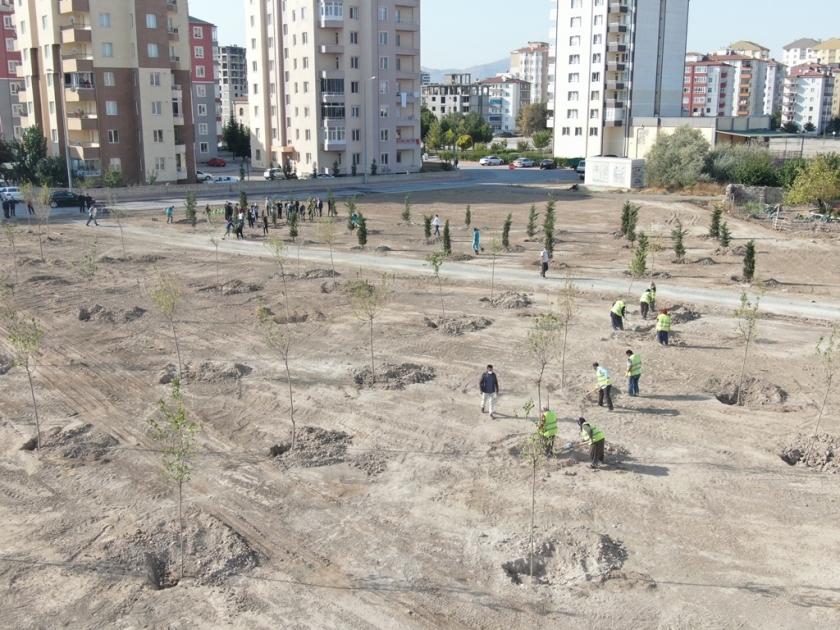 BAŞKAN ÇOLAKBAYRAKDAR, “110 FARKLI NOKTAYA 100 BİN AĞAÇ DİKTİK”