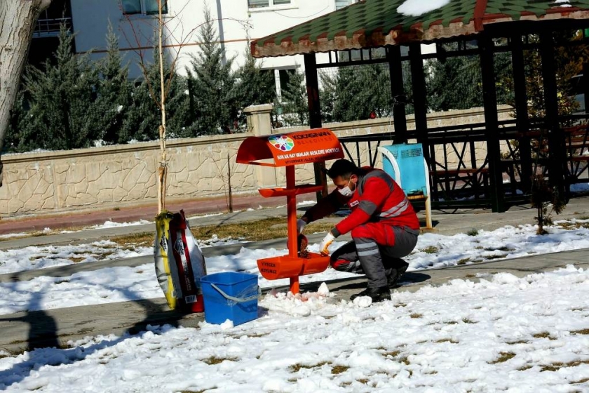 KOCASİNAN, SOKAK VE YABAN HAYVANLARINI UNUTMADI