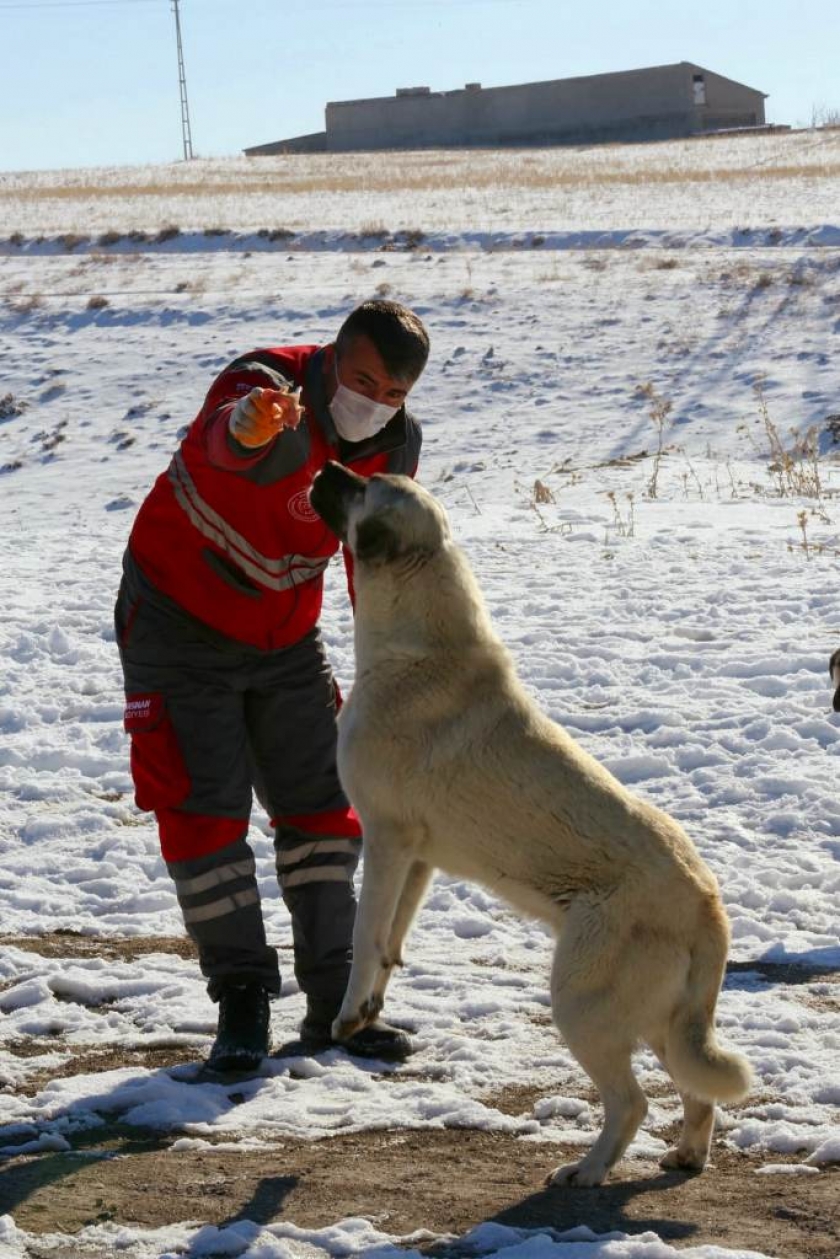 KOCASİNAN, SOKAK VE YABAN HAYVANLARINI UNUTMADI